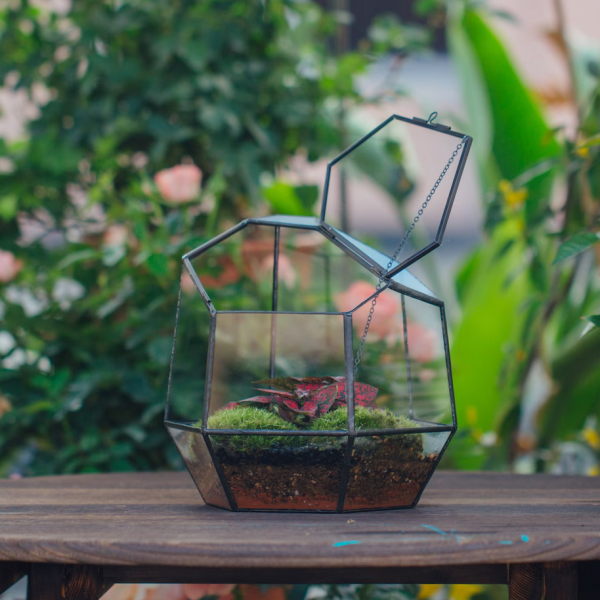 Close Geometric Glass Terrarium