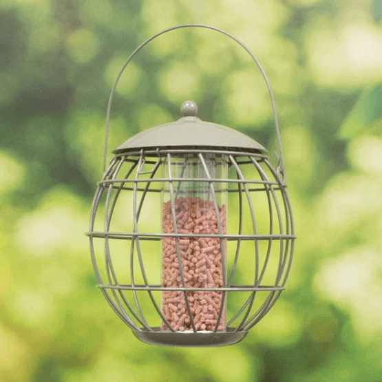 bird feeder image